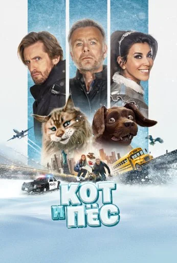 Кот и пёс (2024) онлайн бесплатно